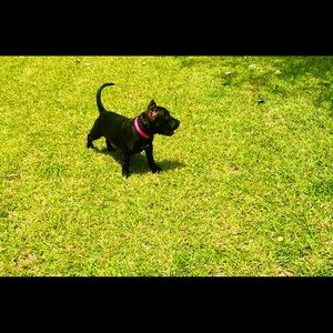 Meet your Posher, Ray